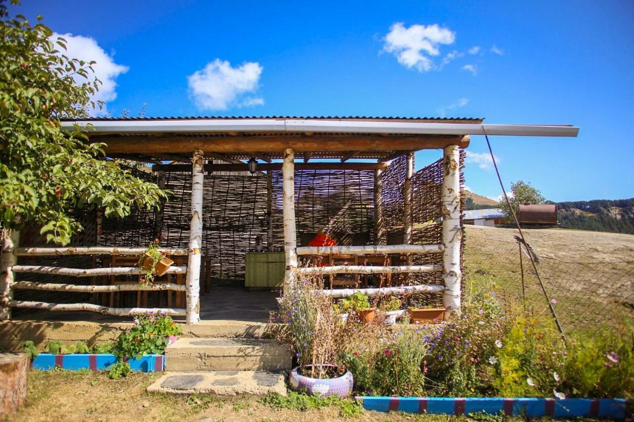 Guest House Old אומלו מראה חיצוני תמונה